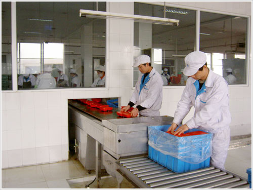 食品滚筒线 - 副本.jpg